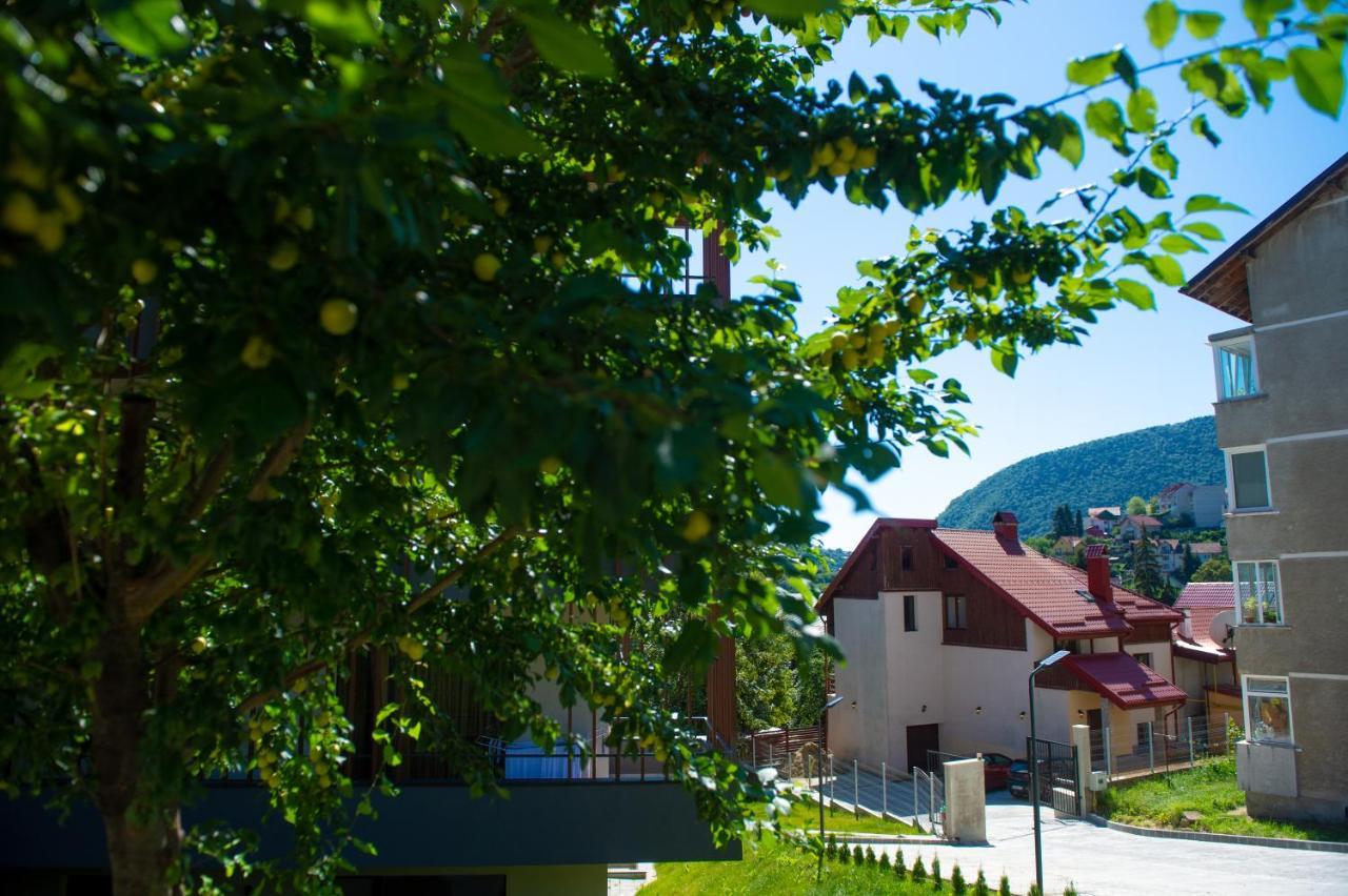 Snug Apartments - Private Parking Near Downtown Брашов Екстериор снимка