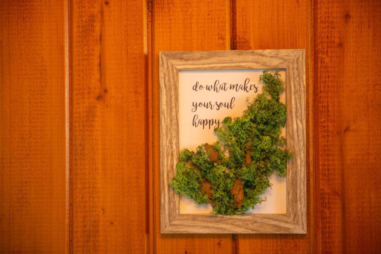 Snug Apartments - Private Parking Near Downtown Брашов Екстериор снимка