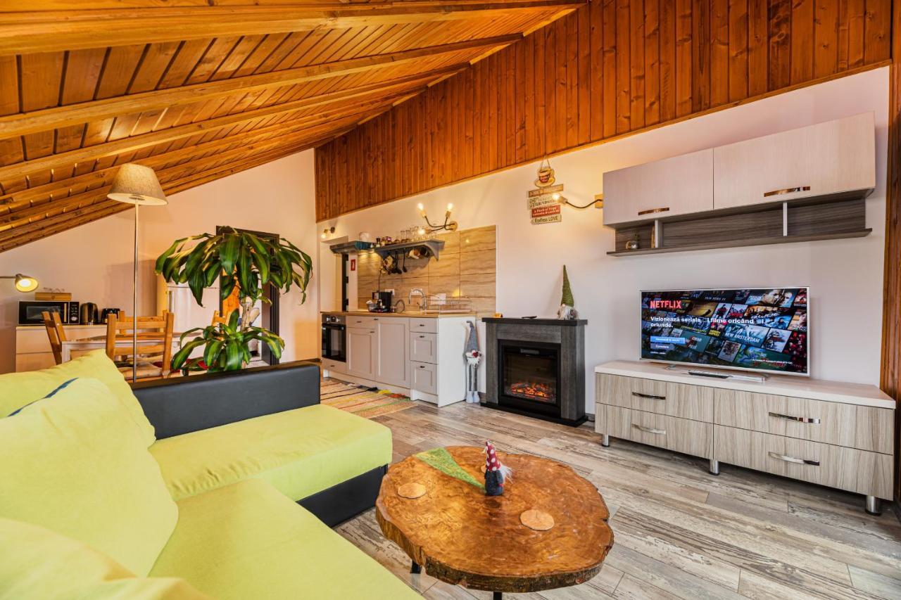 Snug Apartments - Private Parking Near Downtown Брашов Екстериор снимка