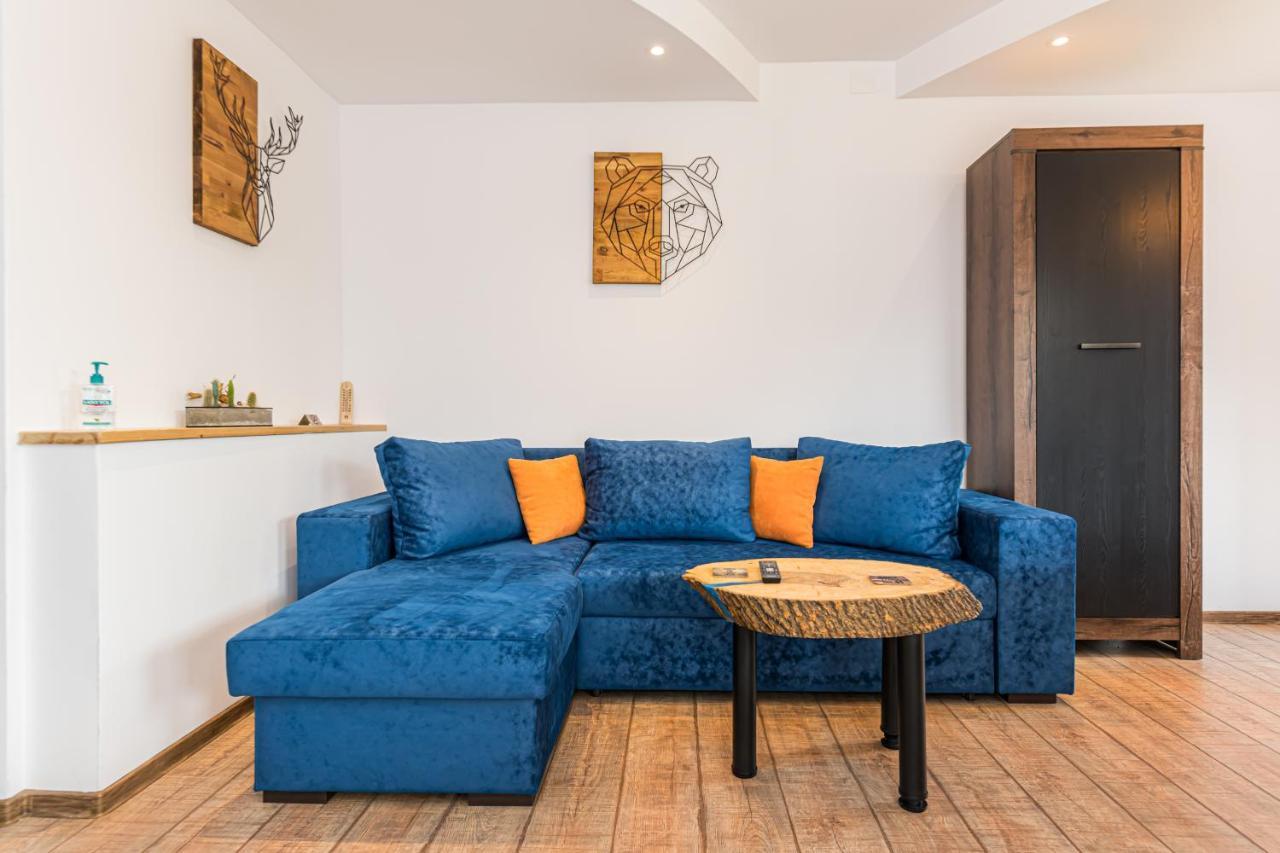 Snug Apartments - Private Parking Near Downtown Брашов Екстериор снимка