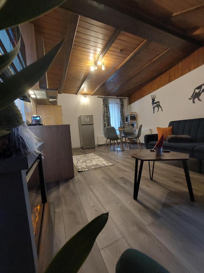 Snug Apartments - Private Parking Near Downtown Брашов Екстериор снимка