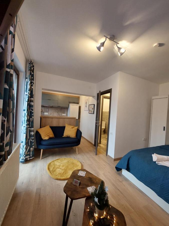 Snug Apartments - Private Parking Near Downtown Брашов Екстериор снимка