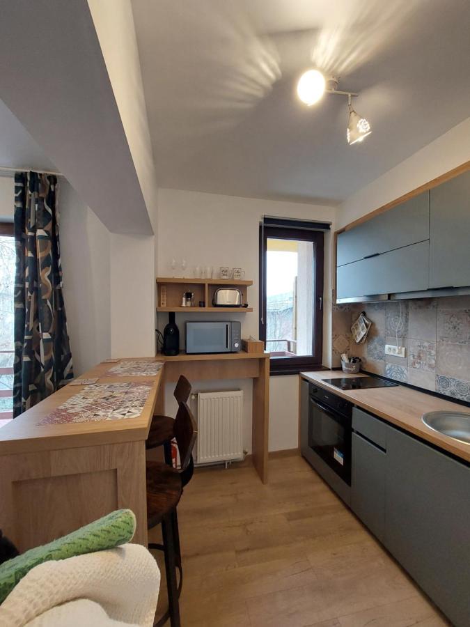 Snug Apartments - Private Parking Near Downtown Брашов Екстериор снимка