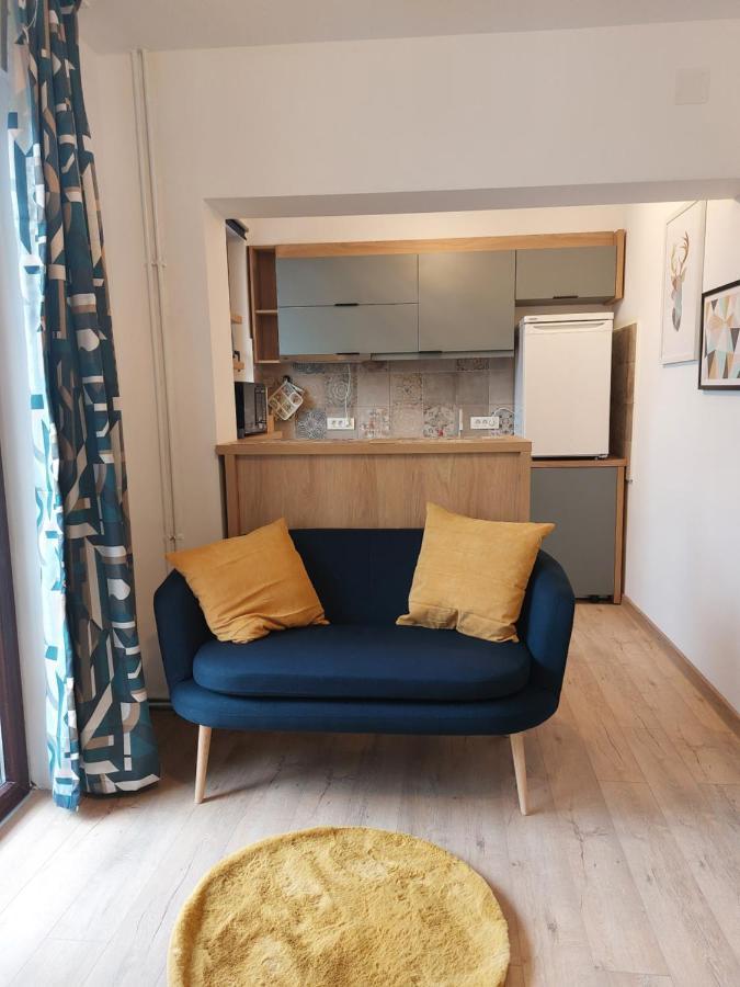 Snug Apartments - Private Parking Near Downtown Брашов Екстериор снимка