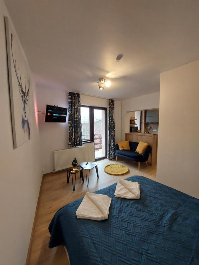 Snug Apartments - Private Parking Near Downtown Брашов Екстериор снимка