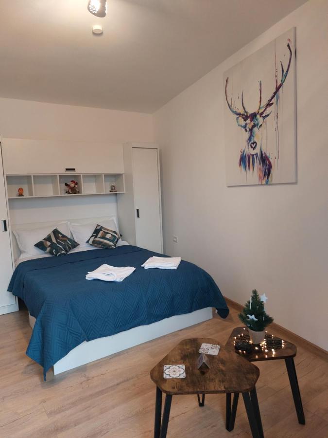 Snug Apartments - Private Parking Near Downtown Брашов Екстериор снимка
